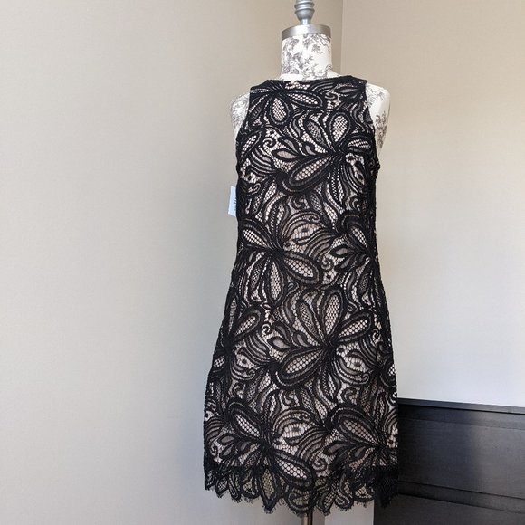 NWT Babaton Henry Dress - Picture 2 of 5